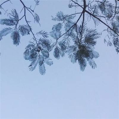 抢妹子ol手游下载