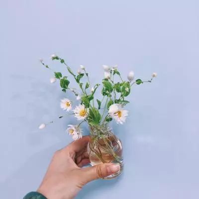 网易轩辕剑龙舞云山手游下载