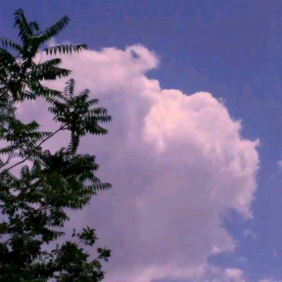 东瀛百鬼录官方正版下载